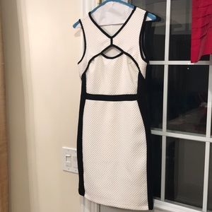 Bailey44 cream and black dress